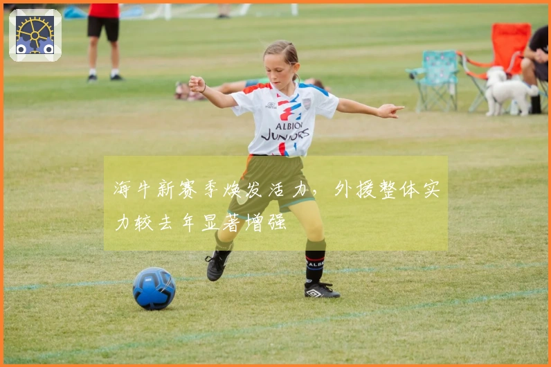 海牛新赛季焕发活力，外援整体实力较去年显著增强