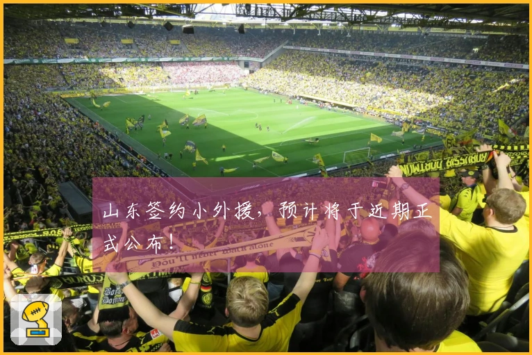 山东签约小外援，预计将于近期正式公布！