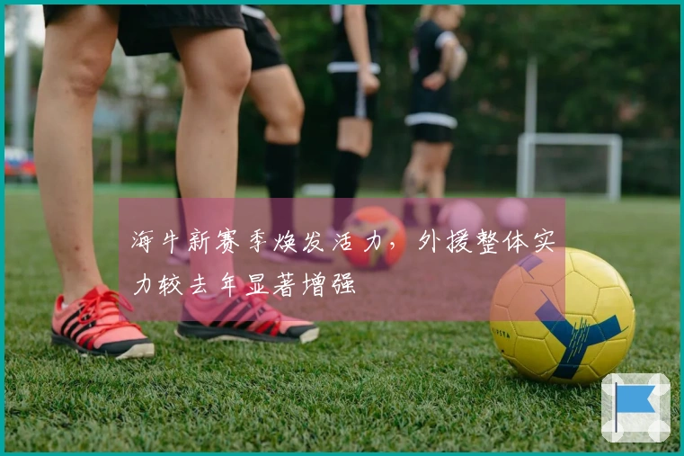 海牛新赛季焕发活力，外援整体实力较去年显著增强